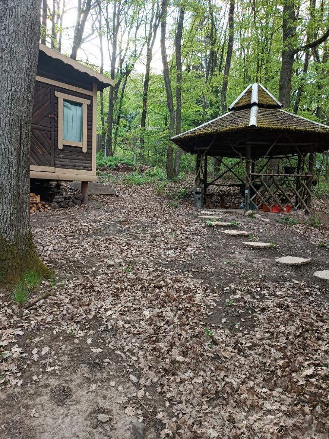 Holiday home Ozike-lak A Boerzsoenyben